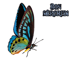 Gif animé Bon mercredi papillon